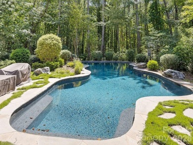 Nestled on 2.27 wooded acres in The Sanctuary at Lake Wylie - photo 33