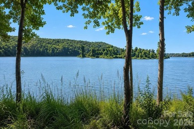 Nestled on 2.27 wooded acres in The Sanctuary at Lake Wylie - photo 46