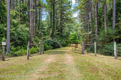 Welcome to Nola Pines! This unique property is tucked away on - photo 2