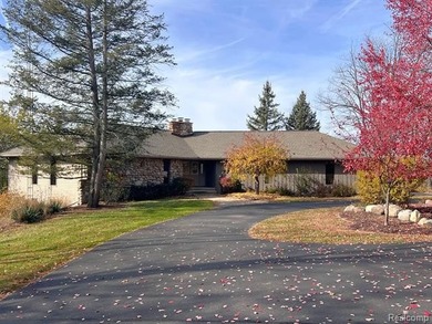 Lake Home For Sale in Perry, Michigan