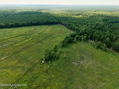 If you've been looking for a turnkey hunting, farming, or - photo 11