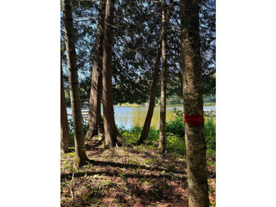 Great land opportunity with access to the magnificent Lac de la - photo 4