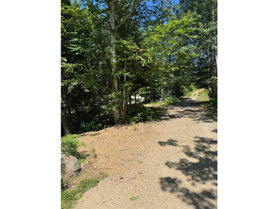 Great land opportunity with access to the magnificent Lac de la - photo 5