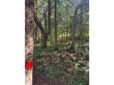 Great land opportunity with access to the magnificent Lac de la - photo 7