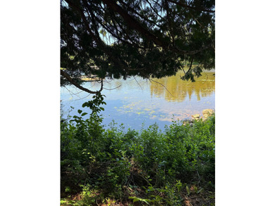 Great land opportunity with access to the magnificent Lac de la - photo 8
