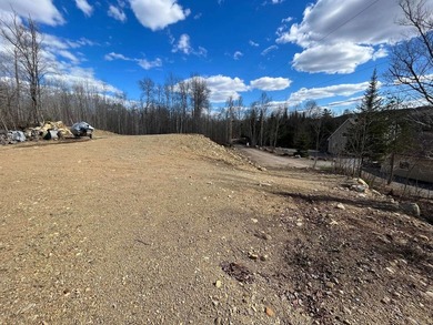 Great land opportunity with access to the magnificent Lac de la - photo 10
