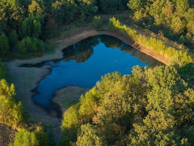 Overview: Nestled along Whitegrass Creek in Bryan County, a - photo 33