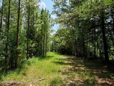 If you've been looking for a turnkey hunting, farming, or - photo 36
