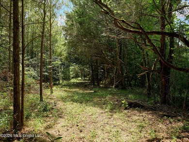If you've been looking for a turnkey hunting, farming, or - photo 37