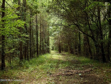 If you've been looking for a turnkey hunting, farming, or - photo 39