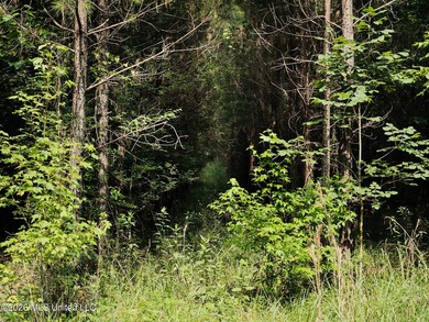 If you've been looking for a turnkey hunting, farming, or - photo 40