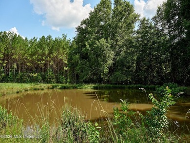If you've been looking for a turnkey hunting, farming, or - photo 43