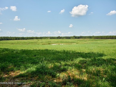 If you've been looking for a turnkey hunting, farming, or - photo 44