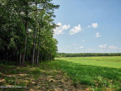If you've been looking for a turnkey hunting, farming, or - photo 45
