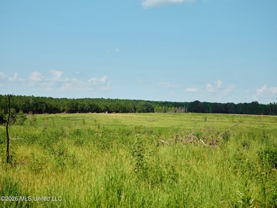 If you've been looking for a turnkey hunting, farming, or - photo 46