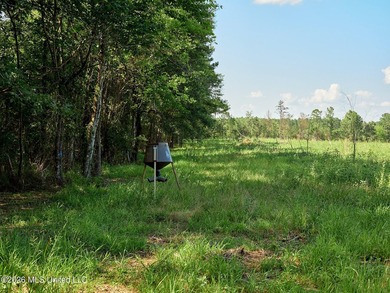 If you've been looking for a turnkey hunting, farming, or - photo 47