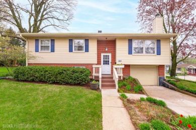 Lake Home For Sale in Algonquin, Illinois