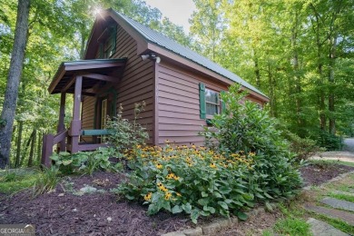 Lake Home For Sale in Blue Ridge, Georgia