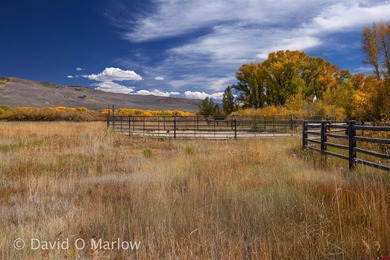 Jesse Ebner, Signature Properties Ebner & Associates, LLC, C:,,: - photo 39
