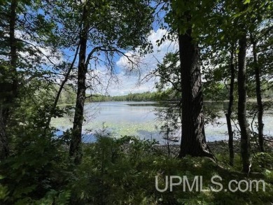 (private lake, pond, creek) Lot For Sale in Watersmeet Michigan