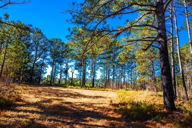Rare opportunity in Appling! 9.3 acres of mostly fenced land - photo 9
