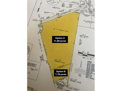 Development Land Opportunity on Central Avenue/Highway 3 Take - photo 1