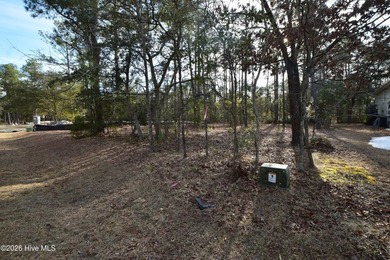 Fairfield Harbour, New Bern NC. Move into this gated community - photo 3
