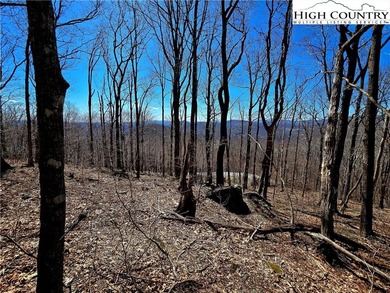 (private lake, pond, coastal) Acreage For Sale in Todd North Carolina