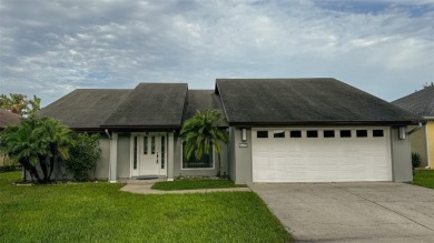 Lake Home For Sale in Lakeland, Florida