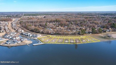 Brand New Development at the RESERVOIR! *Osprey Pointe at Arbor - photo 1