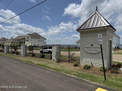 Brand New Development at the RESERVOIR! *Osprey Pointe at Arbor - photo 2
