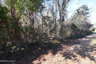 Fairfield Harbour, New Bern NC. Move into this gated community - photo 3