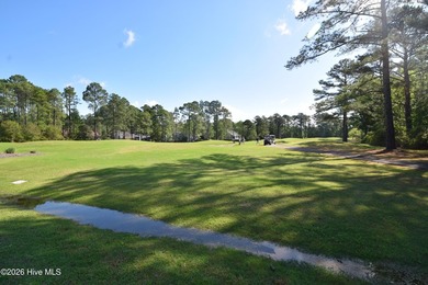 Fairfield Harbour, New Bern NC. Move into this gated community - photo 6