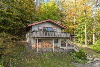 Lake Home For Sale in Hunter, New York