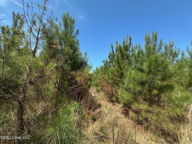 +/- 124 acres in the Shivers community in southwest Simpson - photo 16