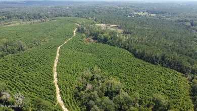 +/- 124 acres in the Shivers community in southwest Simpson - photo 20