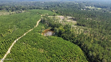 +/- 124 acres in the Shivers community in southwest Simpson - photo 21