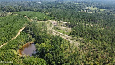 +/- 124 acres in the Shivers community in southwest Simpson - photo 22