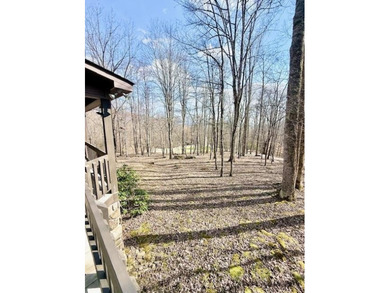 TWO homes nestled on a picturesque 7.85 +/- acre park like - photo 31