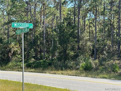 HOMOSASSA building parcel: 18 Buildable Lots, City Sewer and - photo 1