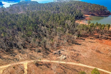 Unparalleled in the Southeast, 440 Abundance Way offers 1.00 - photo 2