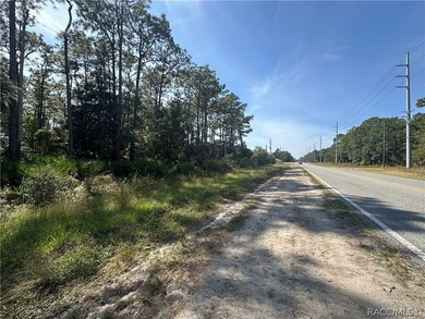 HOMOSASSA building parcel: 18 Buildable Lots, City Sewer and - photo 3