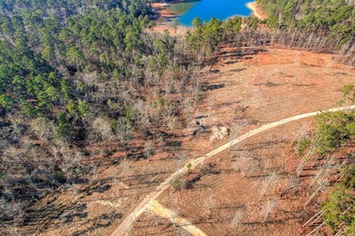 Unparalleled in the Southeast, 440 Abundance Way offers 1.00 - photo 4