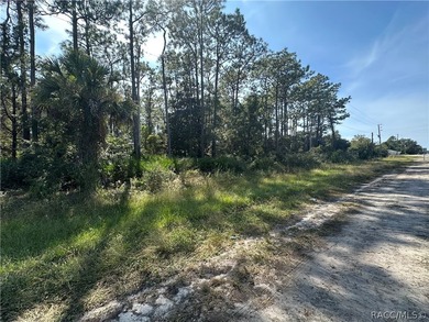 HOMOSASSA building parcel: 18 Buildable Lots, City Sewer and - photo 4