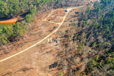 Unparalleled in the Southeast, 440 Abundance Way offers 1.00 - photo 10
