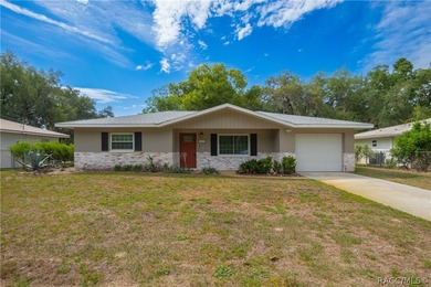 Tsala Apopka Chain of Lakes Home Sale Pending in Inverness Florida