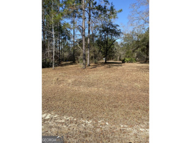 Lake Acreage For Sale in Folkston, Georgia