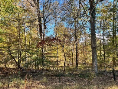 Lake Lot For Sale in Scottsville, Kentucky