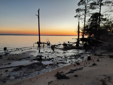 Tucked away on Choctawhatchee Bay, this charming Florida cottage - photo 22