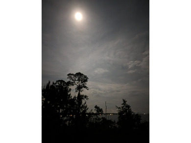 Tucked away on Choctawhatchee Bay, this charming Florida cottage - photo 28